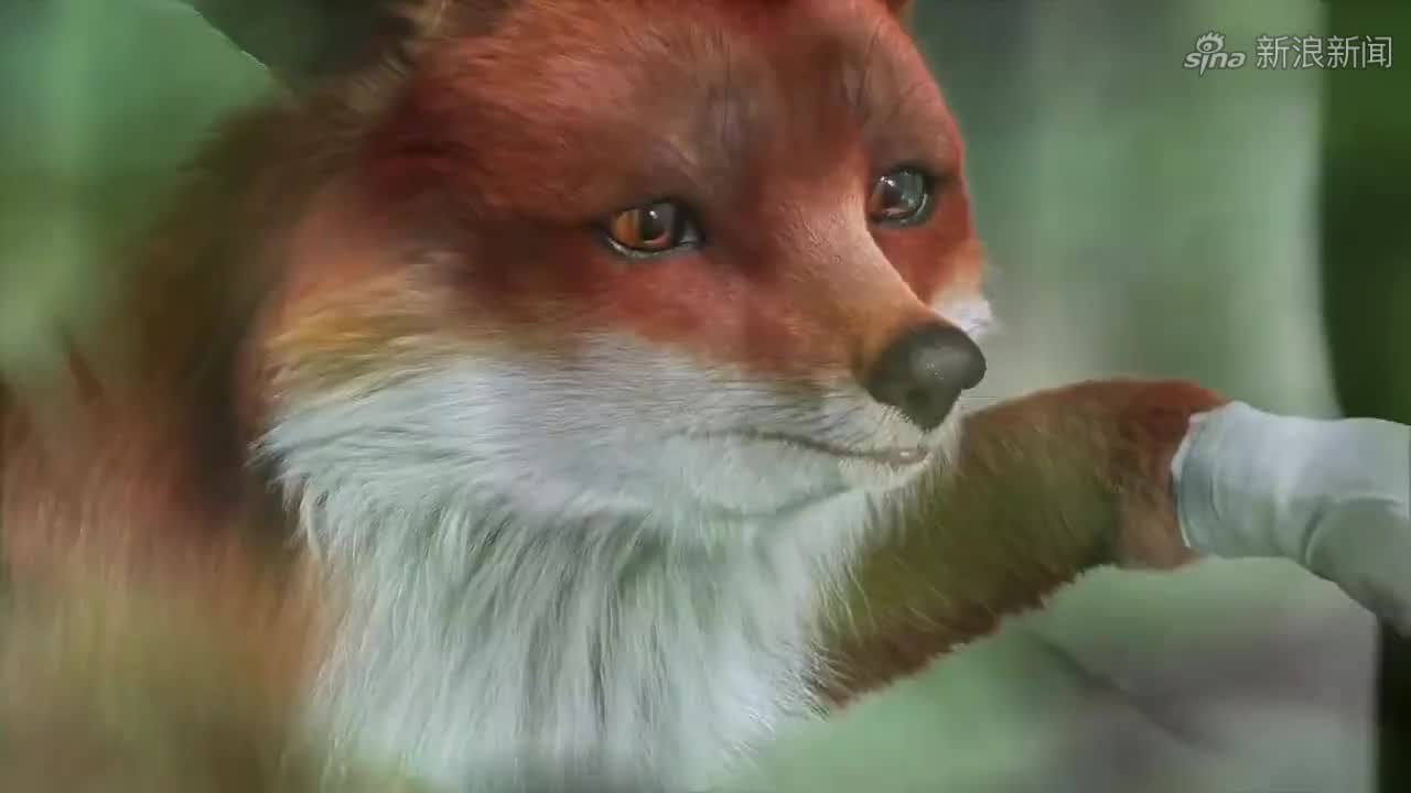 枕上书:司命带凤九见帝君,姬蘅雪狮霸占凉亭,凤九彻底死心