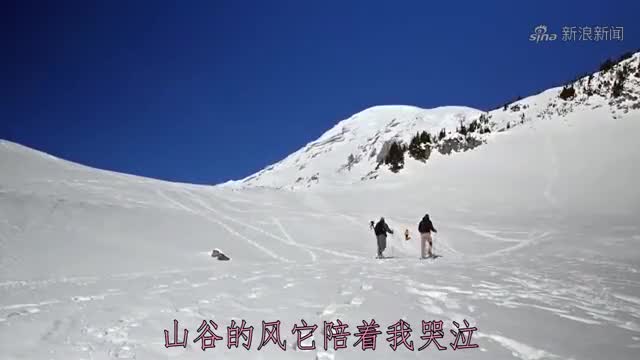 app打开