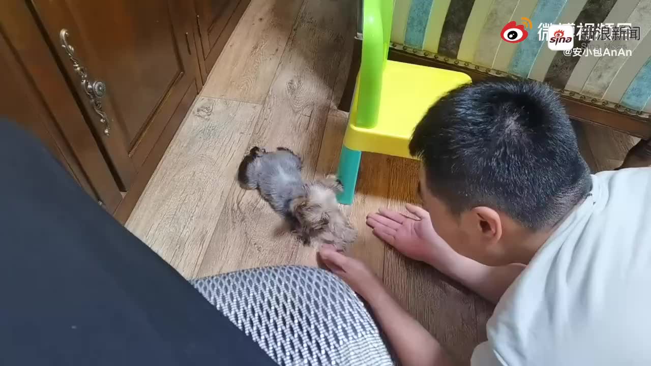 完了…日渐狗化的好像不只是小孩