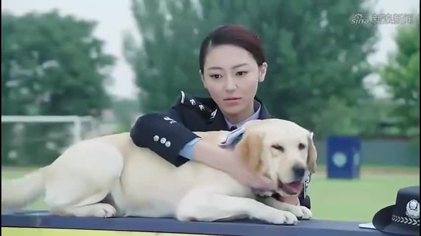 警花与警犬:天狼终于恢复训练,看到姝寒表现异常,梁老看出端倪