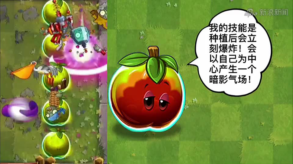 pvz2新植物:暗影油桃!暗影家族爆破手?
