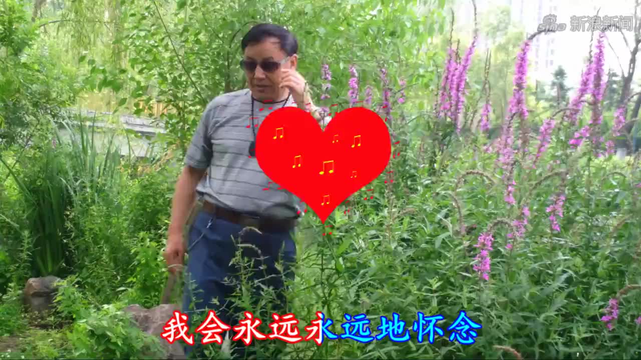 一首好听的歌曲《情陷》我喜欢听