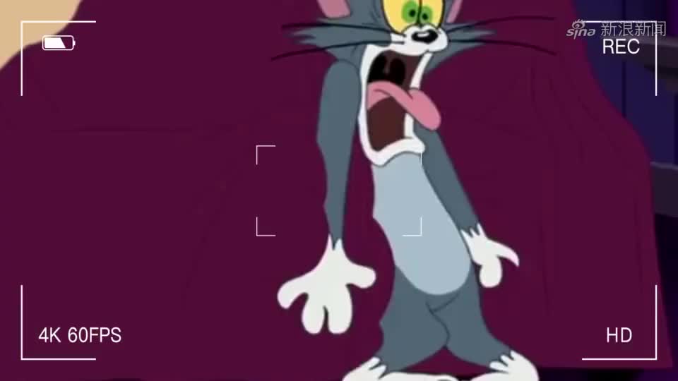 猫和老鼠:汤姆害怕的上楼找主人