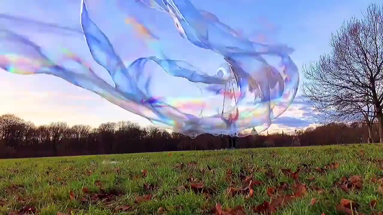 爱像一阵风,吹完它就走