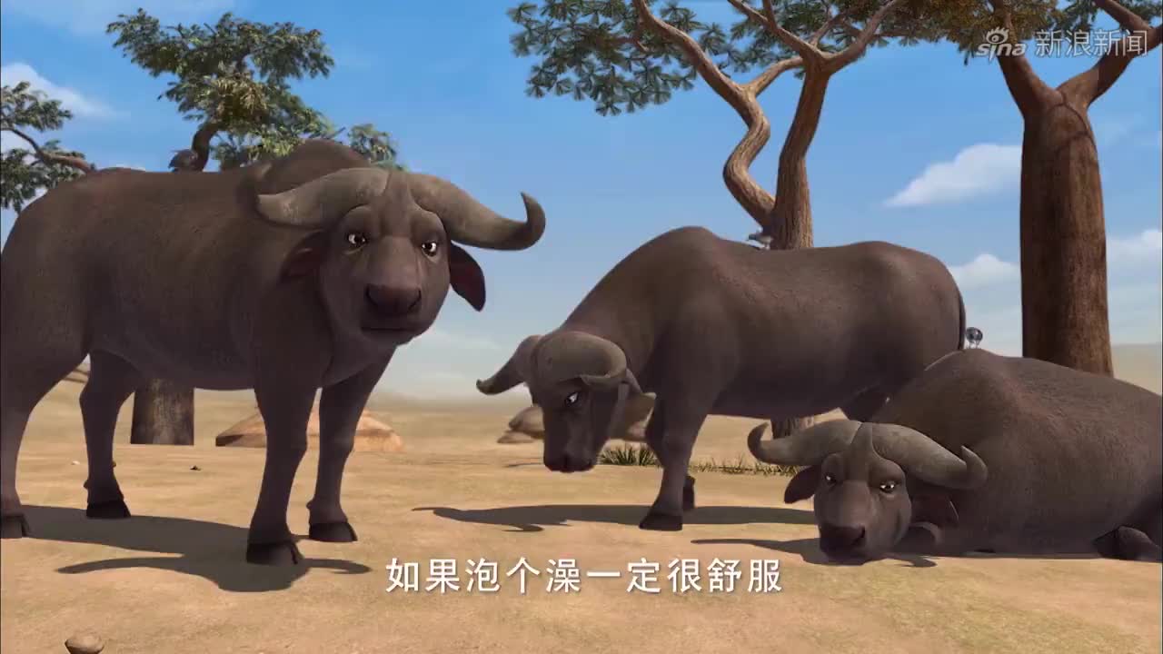 阿贡:速度之王受伤了,阿贡帮它重拾信心