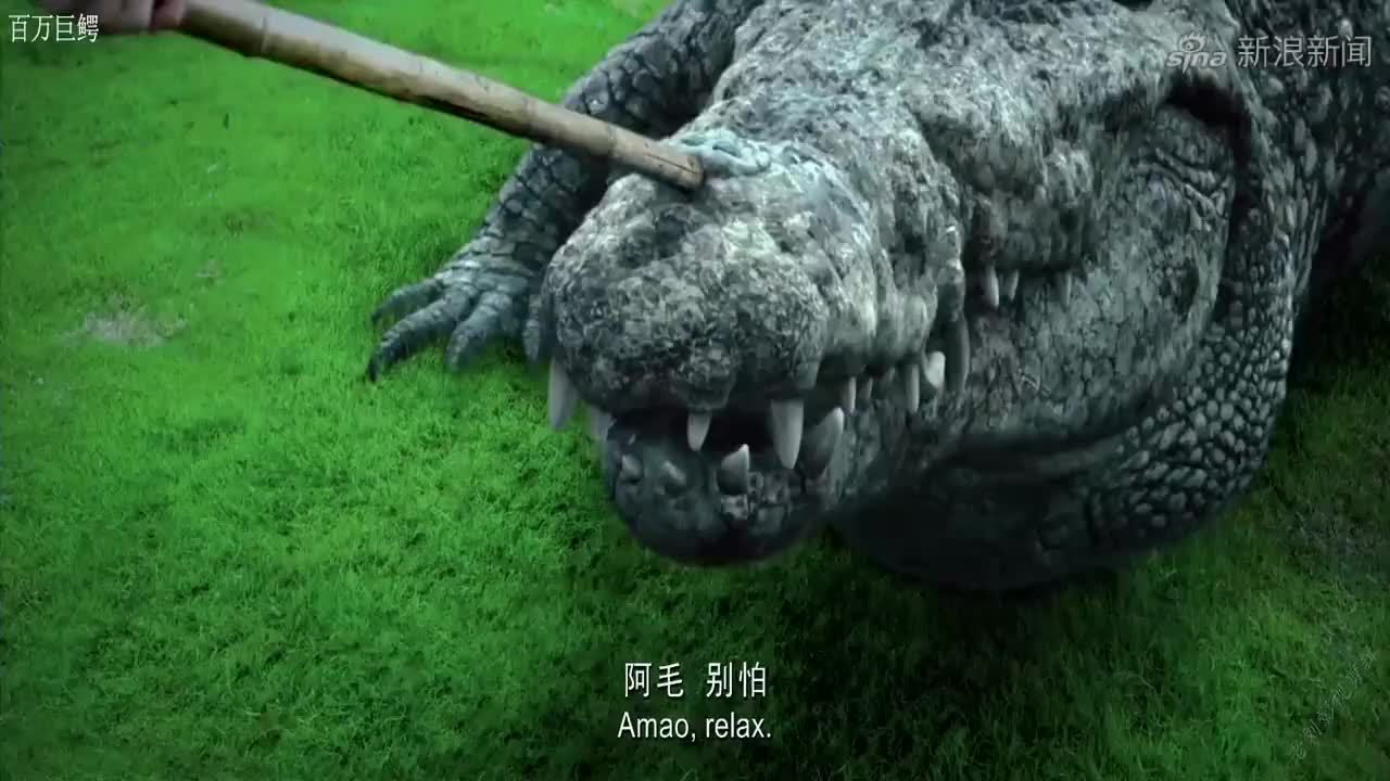 特效喜剧:鳄鱼逃到西湖,养鳄人用棍子引它,结果场面失控