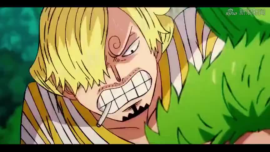 海贼王:队友都在夸山治好,只有索隆依旧不给面子!