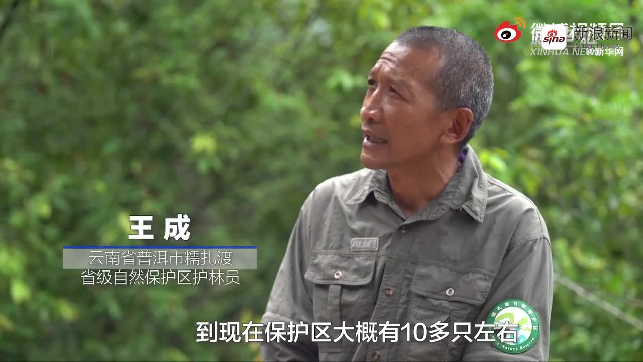 云南小殿下,靠扮丑成百万网红,表演太魔性网友们抢着要娶她为妻