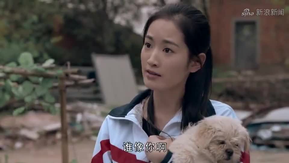 回家的路有多远:女儿收养流浪狗,跑丢却误会亲妈故意