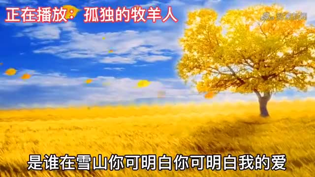 《流泪的飞蛾》《多情的牵挂》《对面的小姐姐》《孤独的牧羊人》