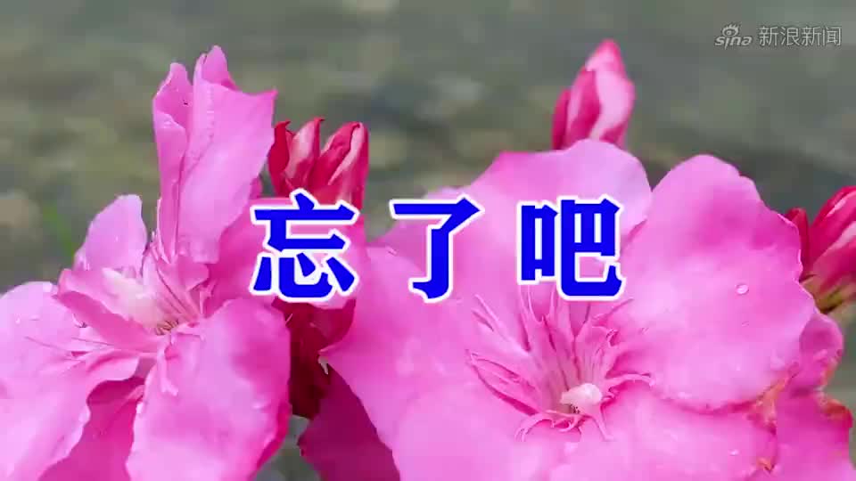 一首伤感情歌《忘了吧》,听的人落泪,把我听哭了!