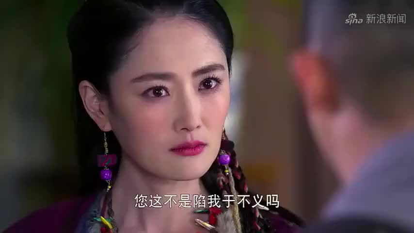 大秧歌:黑鲨无意提醒,海猫一动不动,成功躲过毒蛇攻击