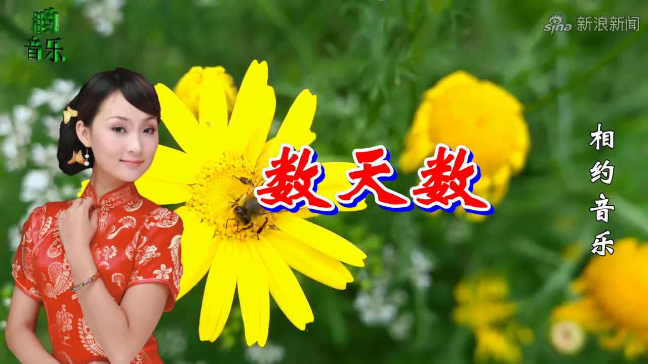 《数天数》《人间佛陀》《随缘》《愿做菩萨那朵莲》