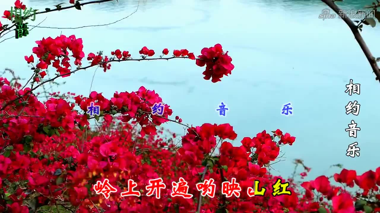经典好听歌曲《高胜美-少女的心》