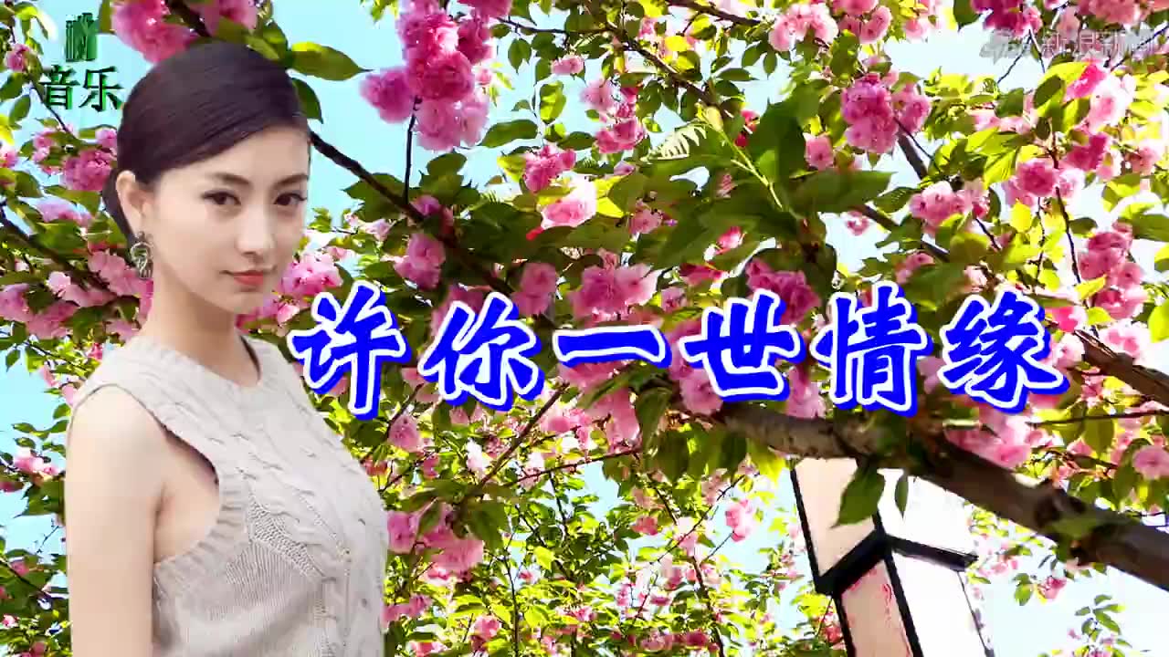 一首情歌《许你一世情缘》句句入情,醉人醉心,太美太好听了!