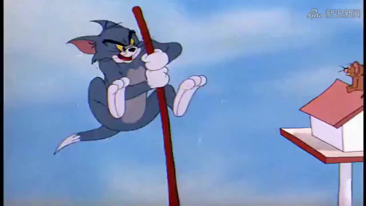 猫和老鼠:这就是陷入爱情的猫和鼠吗