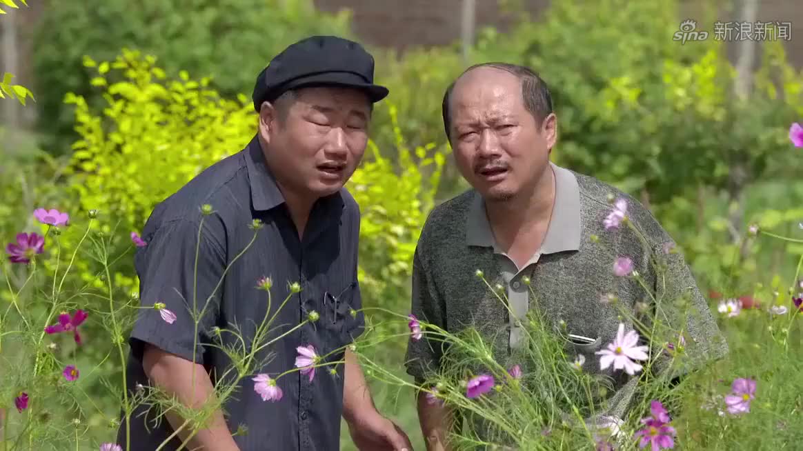 乡村爱情:永强雇用大学生,广坤不舍得工钱,竟要把大学生退了