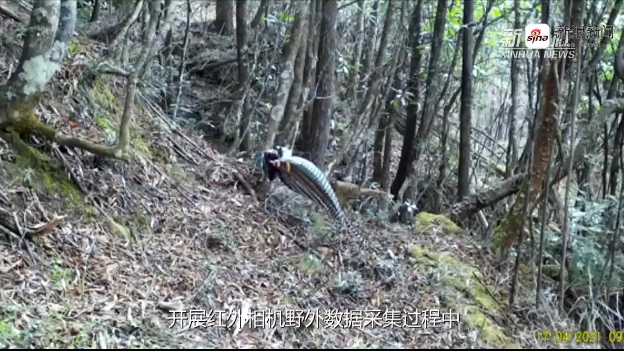 生化寿尸-厕所的丧尸两分钟时间变成帅小哥,吓得山鸡哥嗷嗷叫_手机