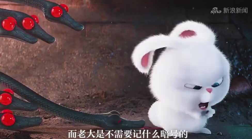 馒头的幸福时光,我可是猫!顶天立地的猫!