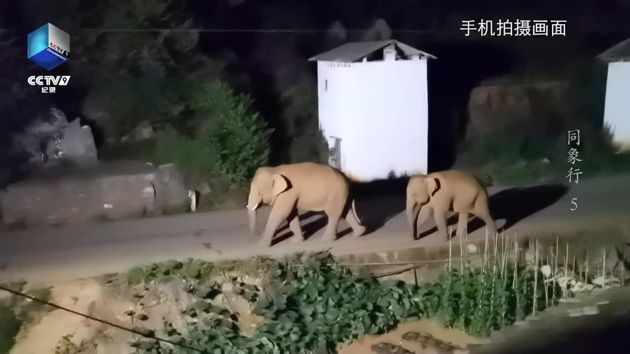 小王床车游玩从云南的罗平去往广西和贵州的交界处,听说很好玩