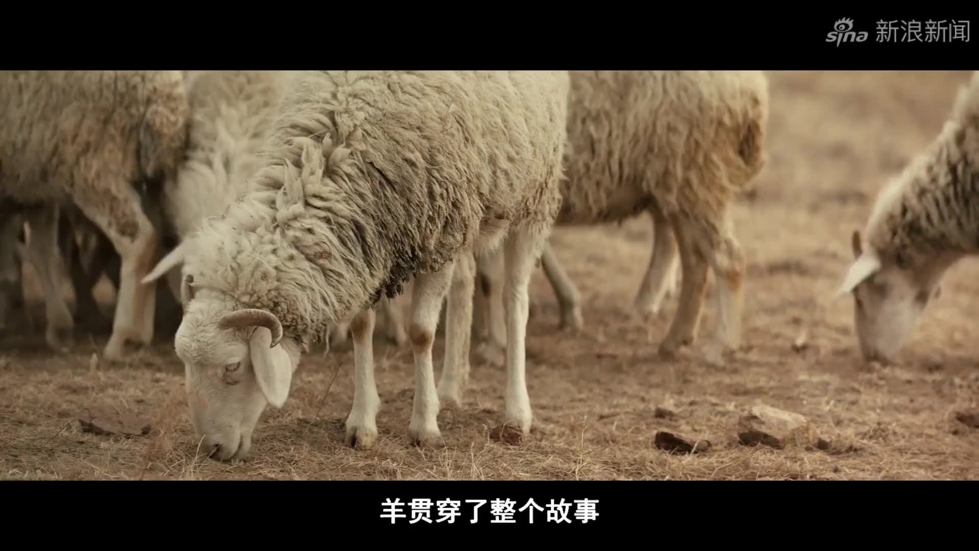 煤老板杀人藏尸,哑巴父亲百般寻找无果,一部拍案叫绝的犯罪片