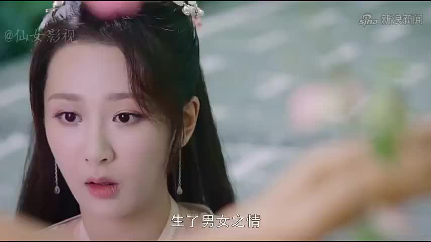 包青天之雷霆怒:包拯庭审鹦鹉,鹦鹉竟开口道出王爷乃杀文婷之人