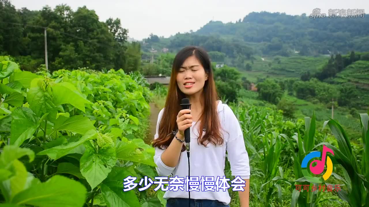 app打开