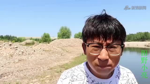 小亮来起粘网时以为被偷,谁知竟粘到条大鲤鱼,金毛大喊有的吃了