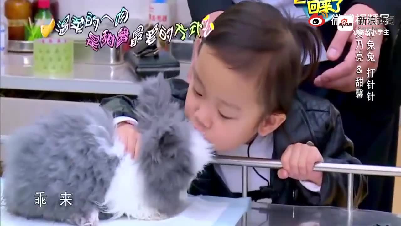 爸爸回来了 李小璐贾乃亮带着女儿甜馨和宠物兔子去打预防针