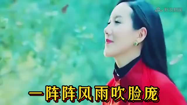魏新雨《醉红尘》dj何鹏版