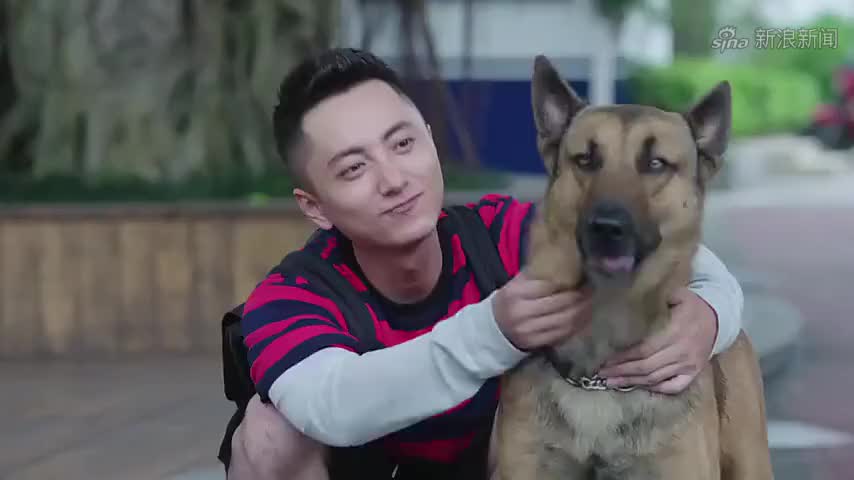 警犬来啦:梁粤重归警队,立马跟木棉建三人小组,组名太逗了