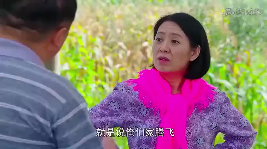 王美兰跟谢广坤说谢腾飞要和兰妮定娃娃亲,还说是谢广坤给出的招
