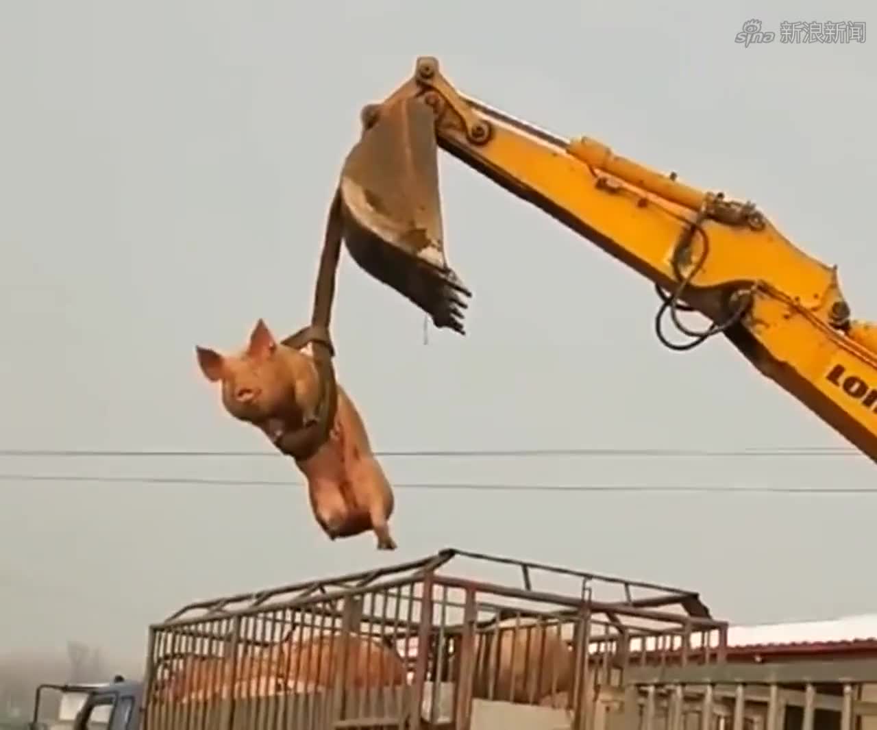 用挖掘机来吊猪,求二师兄心里阴影的面积