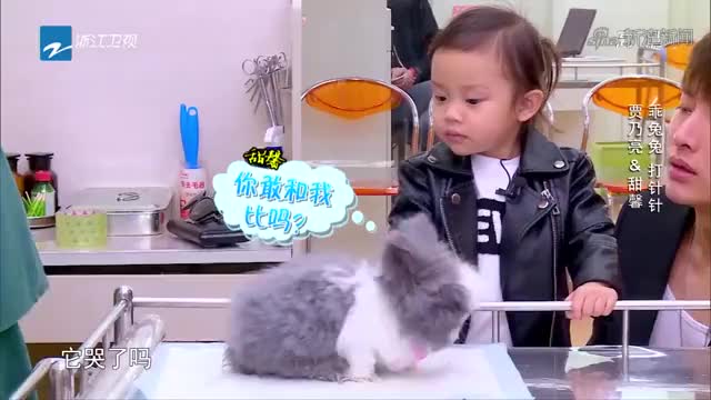 爸爸回来了:贾乃亮甜馨带兔子去打针,小兔子真棒
