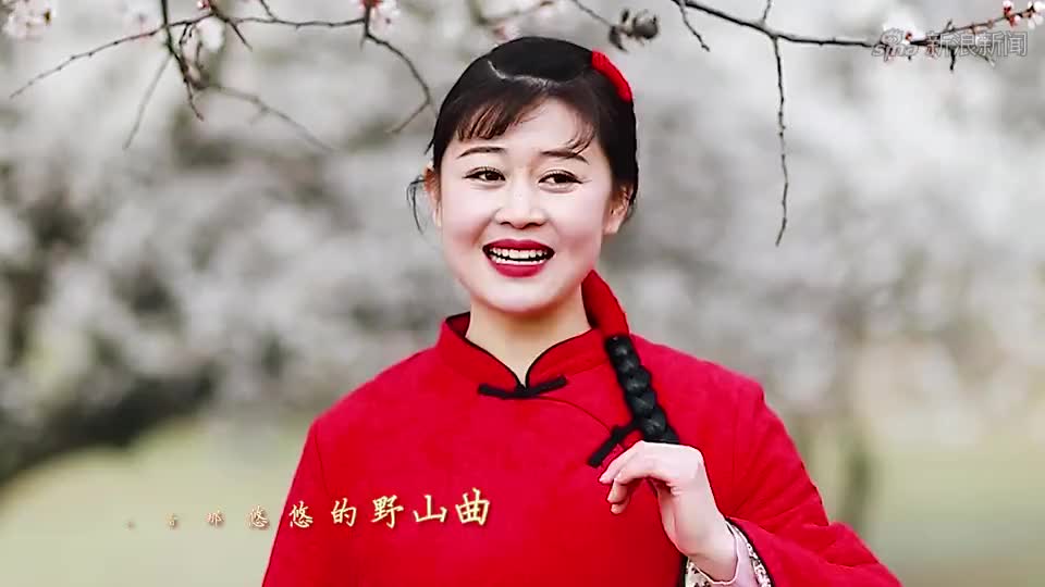 新创陕北民歌《陕北女儿红》演唱:张秀田