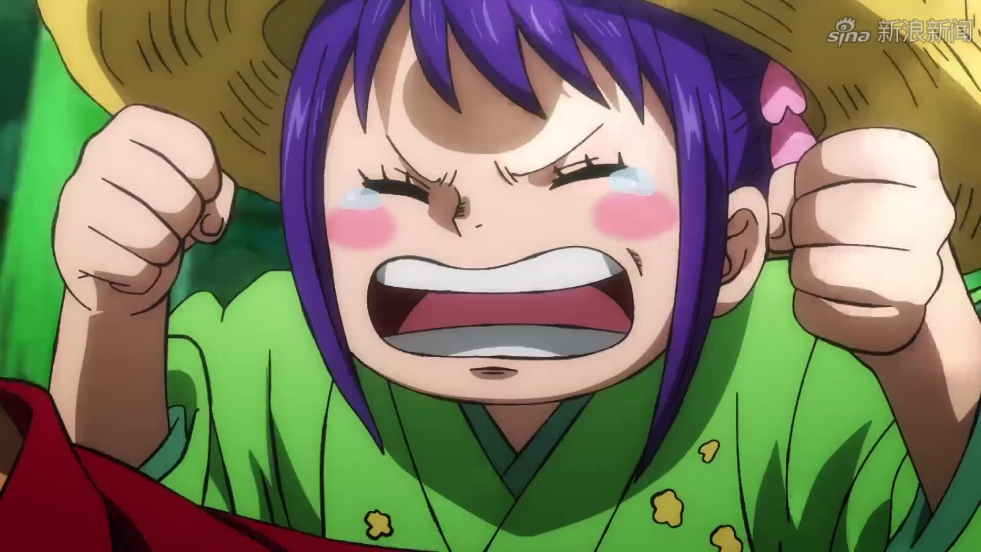 海贼王:阿玉啊,你说得那个人.是我的大哥