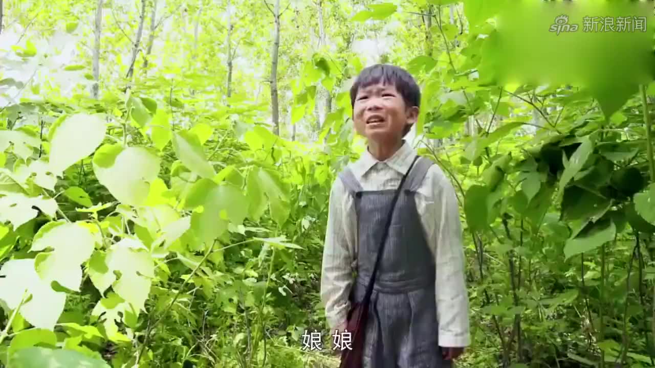 俺娘田小草:小草带来一大碗红烧肉,老爷子直呼好吃,简直太香了