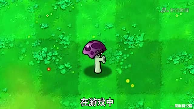 植物大战僵尸2:冰豌豆射手能否守住暴走雪人的攻击?