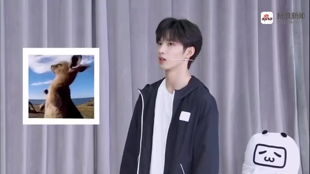 刘耀文表情包模仿时间:袋鼠摇,猫咪salute,猫咪吐舌头