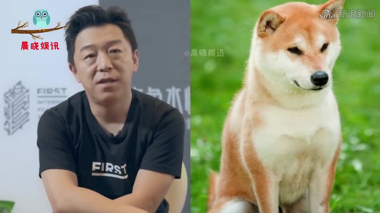 12位和动物撞脸明星,本以为孙红雷已经够像了,看到舒淇笑出猪叫