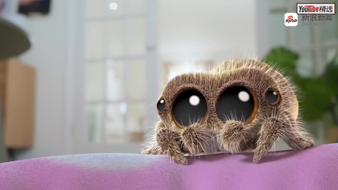 webbed 变成一只大蜘蛛,吐丝织网样样精通!