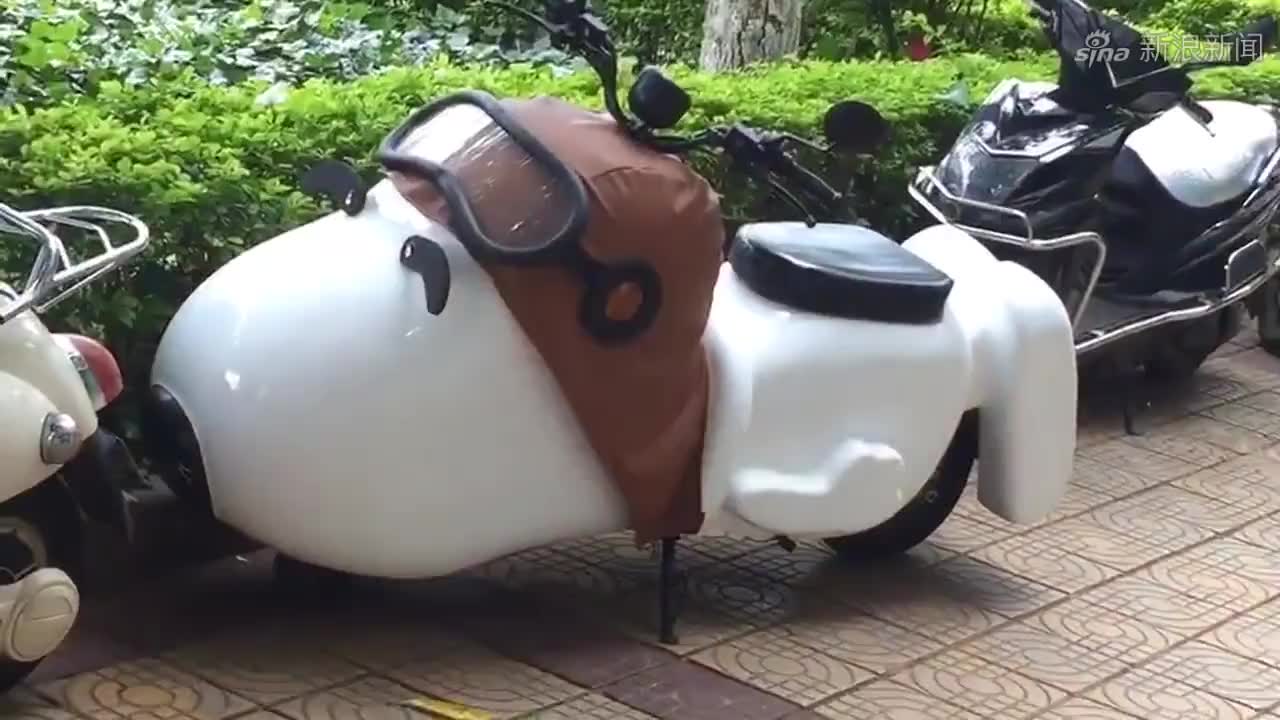 倒霉熊电动车也有人敢骑,太显眼了防盗系数低