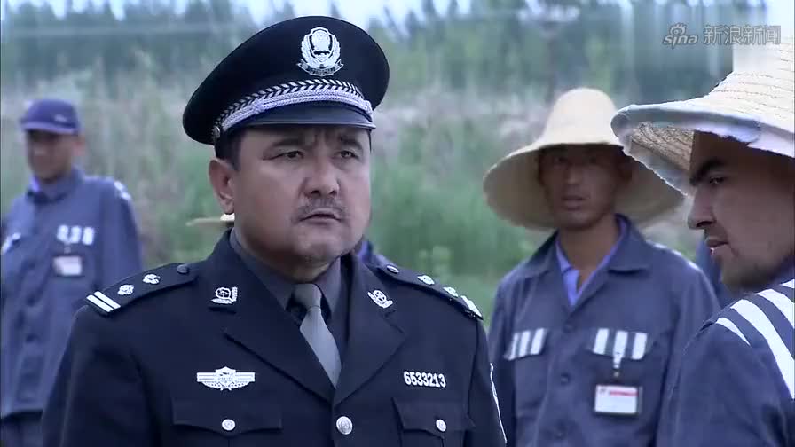 大漠高墙,女同事暗恋萧凡,大哥为其做主把关,真是好大哥