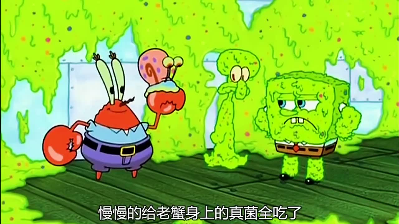 海绵宝宝:蟹堡王爆发真菌危机