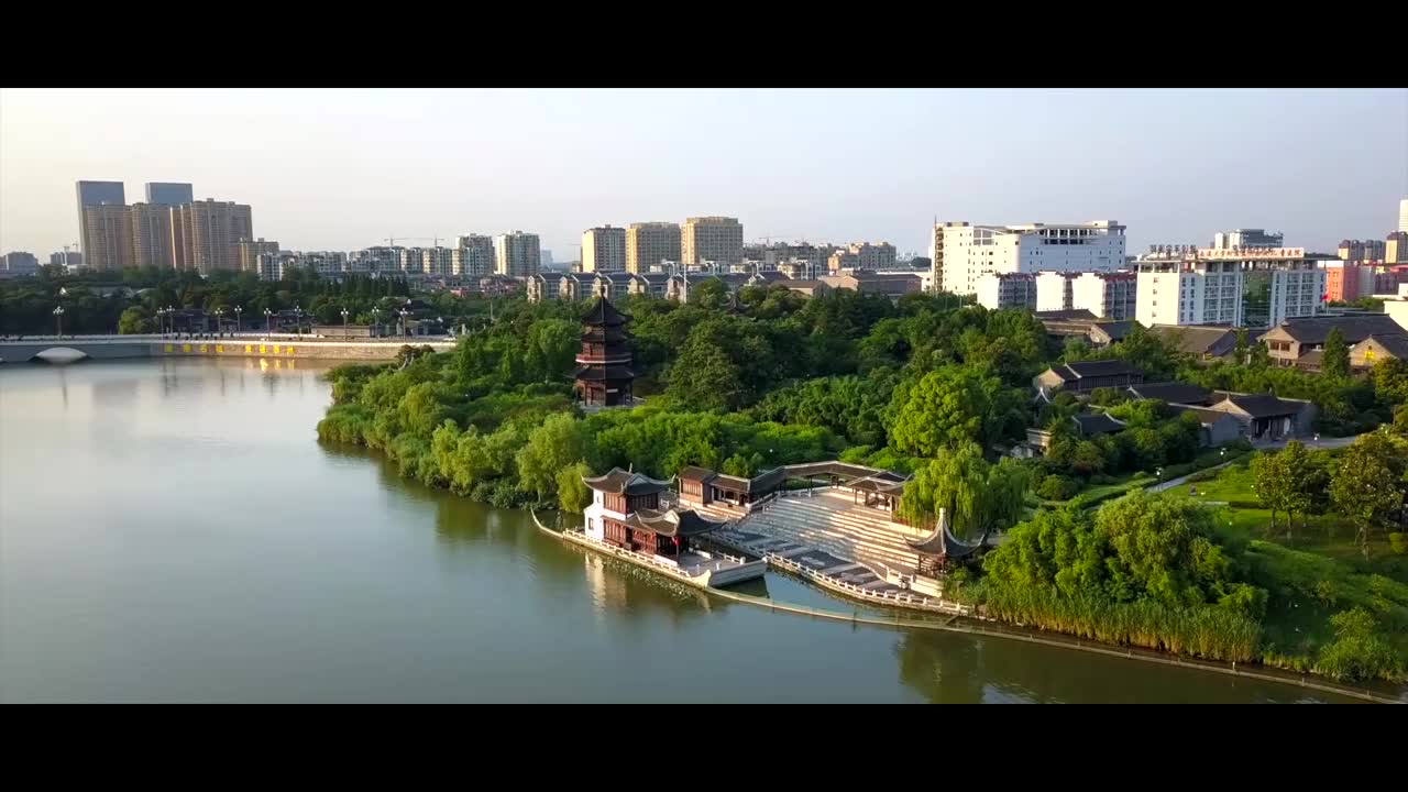 泰州泰兴:黄桥镇祁巷村香荷芋喜获丰收