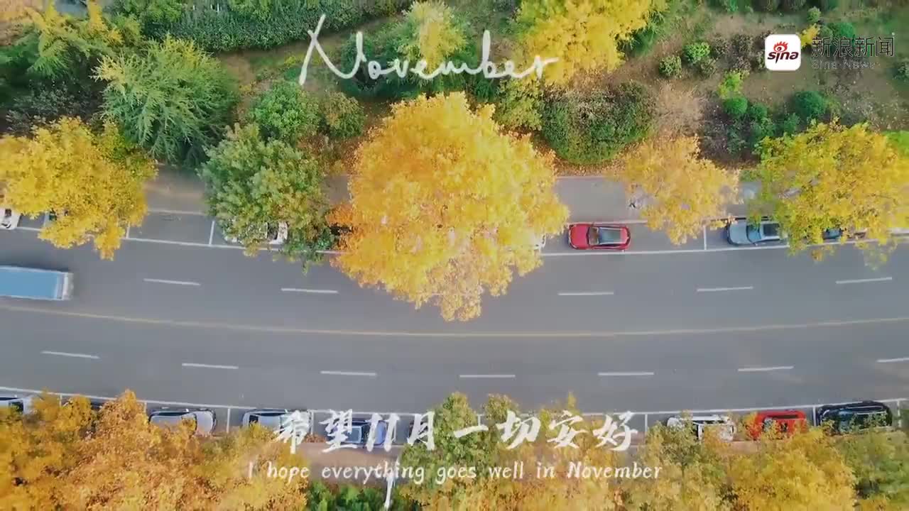 叶落长安:玉兰让槐花给人送月饼,槐花不听,还出言指责父母