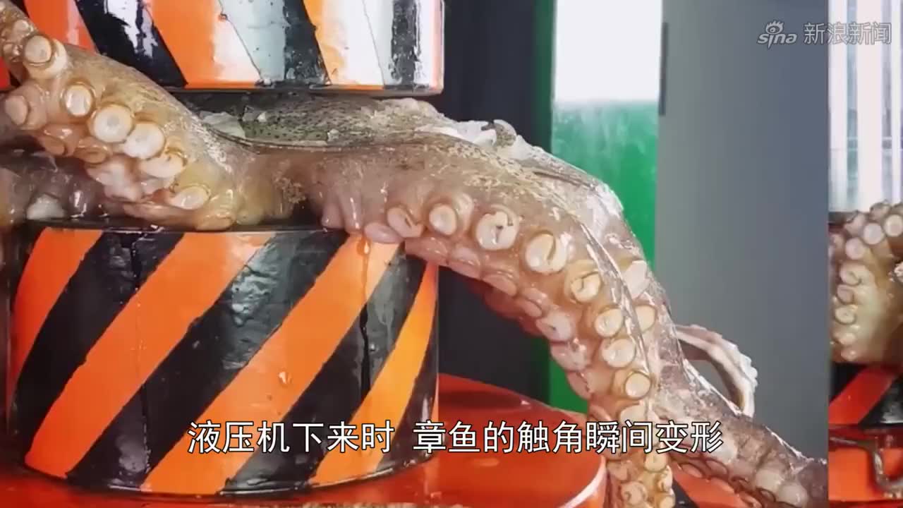 老外亲自实验,竟然连200吨的液压机也跪了!