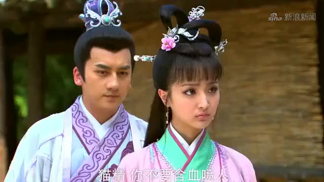 封神英雄榜:雷震子与赫兰缠斗,高和前去相救,不幸被猫精打伤