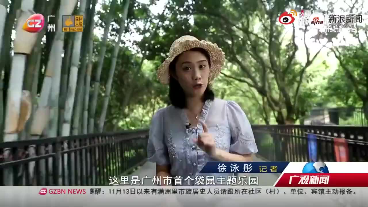 亲爱的翻译官:乔菲整蛊上司,臭豆腐配酒,解锁新吃法