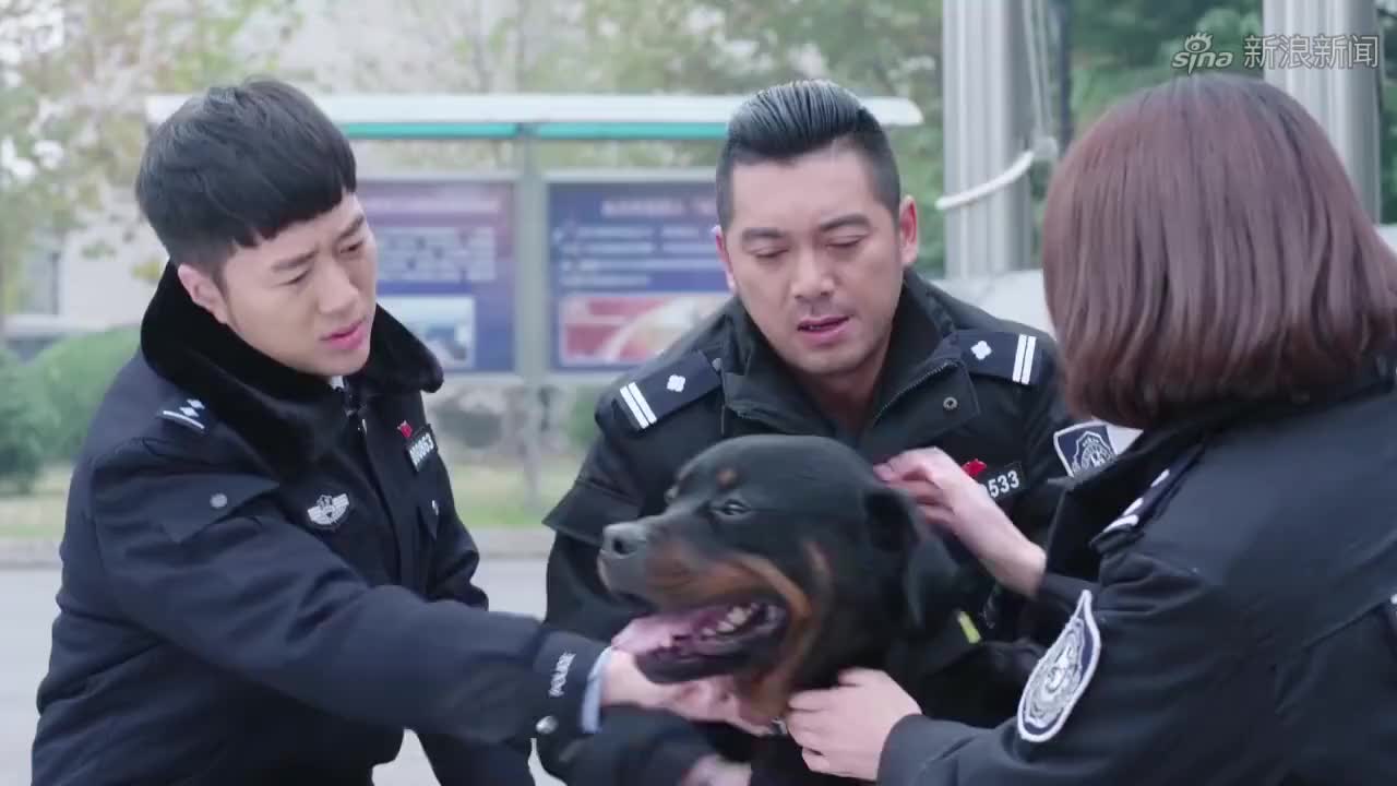 警花与警犬:大家都在找妞妞,原来妞妞竟在基地门口等杜飞回来!